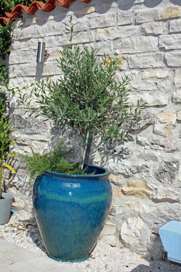 "Art House" Rovinj-Holiday, Holiday Home To Rent Rovinjsko Selo Exterior foto