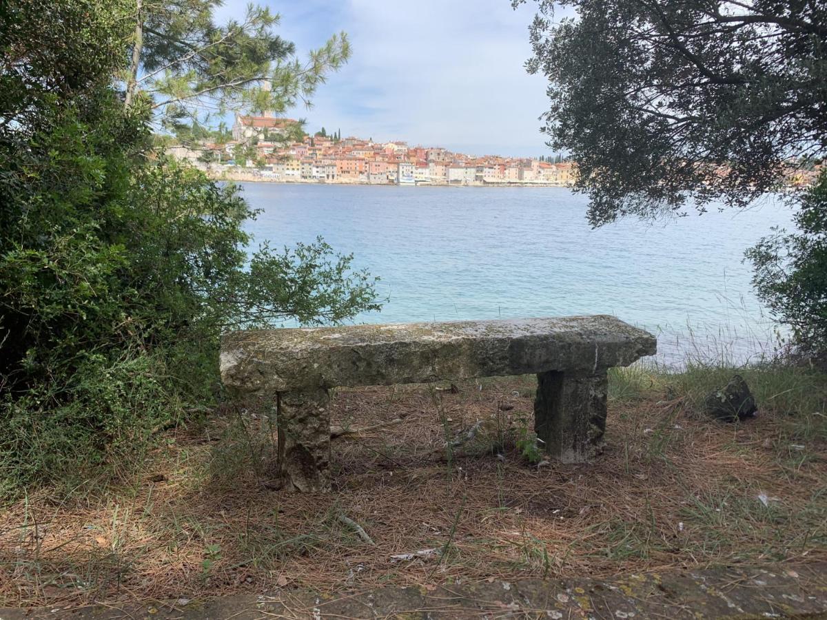 "Art House" Rovinj-Holiday, Holiday Home To Rent Rovinjsko Selo Exterior foto